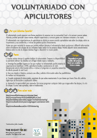 SPANISH Guideline Volunteering with beekeepers copy