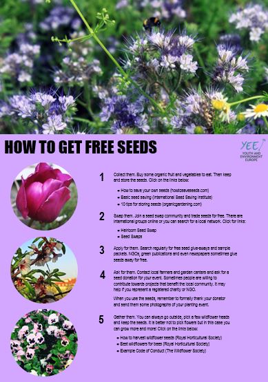 How to get free seeds photo