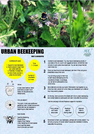 Urban Beekeeping Guide photo