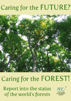 FOREST_REPORT_COVER_small