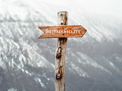 sustainibilitypatharticle