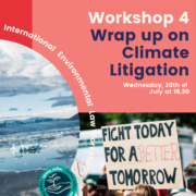 Wrap up on Climate litigation featured image