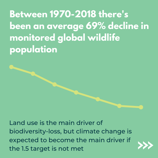 Between 1970-2018 there's been an average 69% decline in monitored global wildlife population