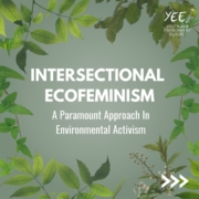 Intersectional Ecofeminism