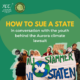 How to sue a state - article