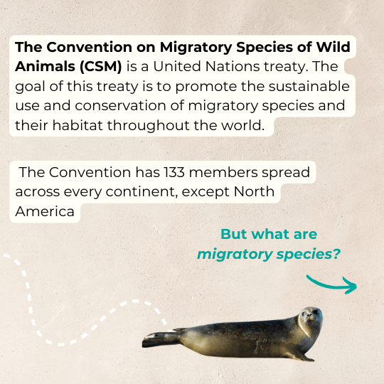 State of the world’s Migratory Species(1)