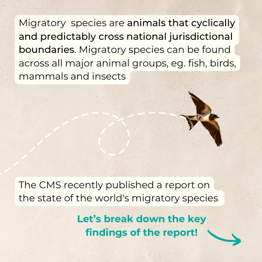 State of the world’s Migratory Species(2)